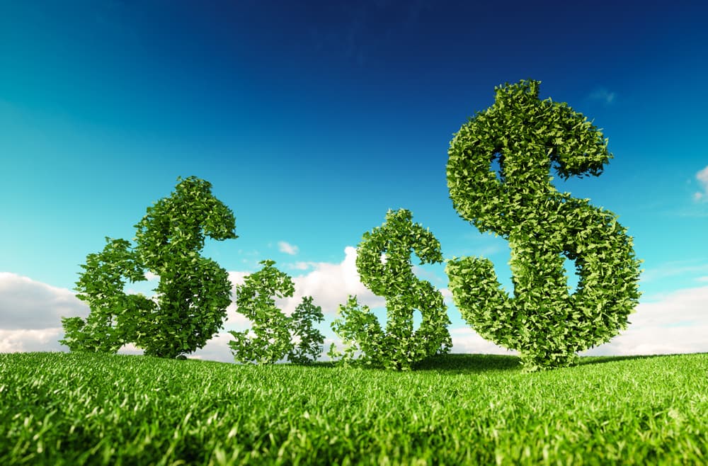 Tributação Verde: a base para uma mudança profunda e necessária