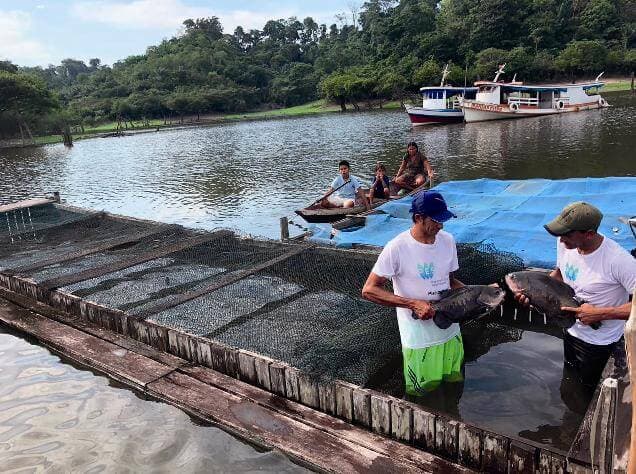 Projeto da MRN capacita famílias em comunidades ribeirinhas