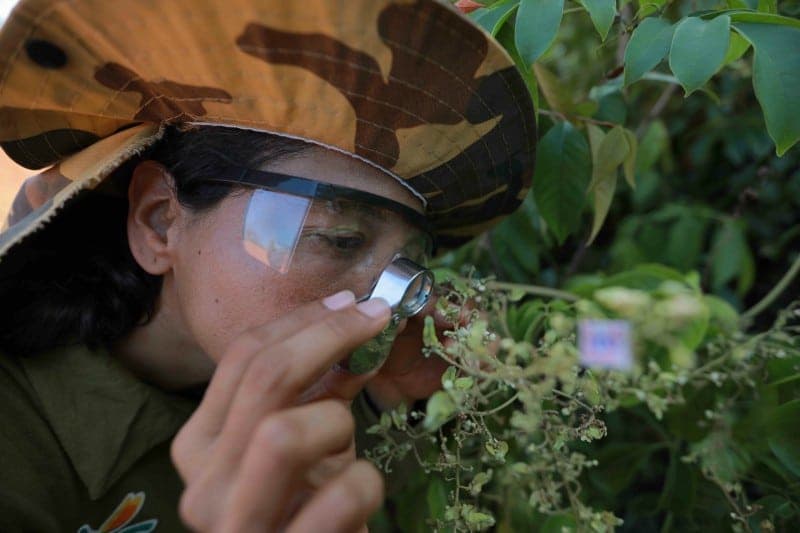 Hydro reforça compromisso com a sustentabilidade