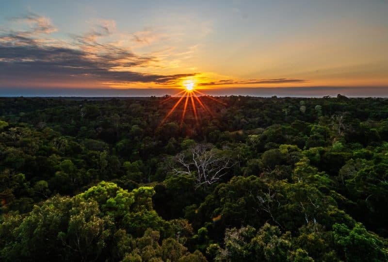 Desenvolvimento sustentável: as ações responsáveis da cadeia do alumínio na Região Amazônica