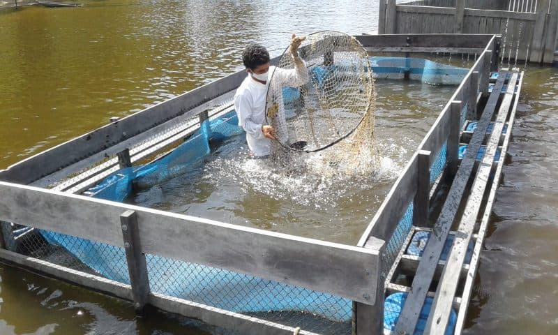 MRN destaca projetos socioambientais na Exposibram 2020