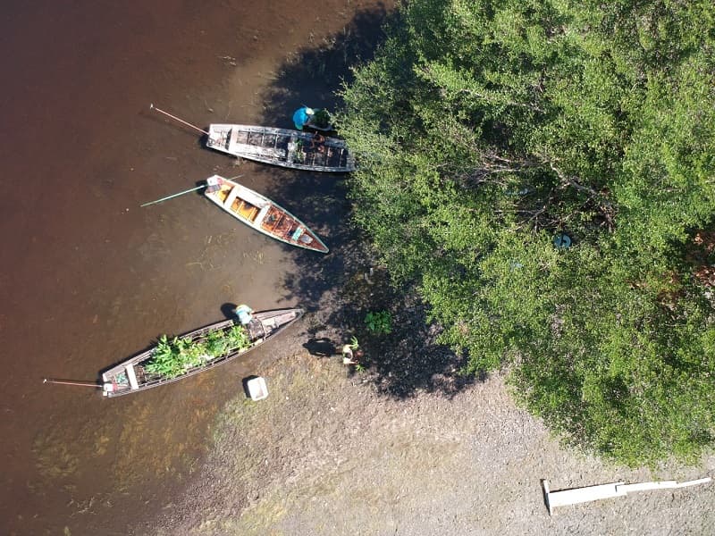 Alcoa e MRN apoiam conservação de florestas no Pará
