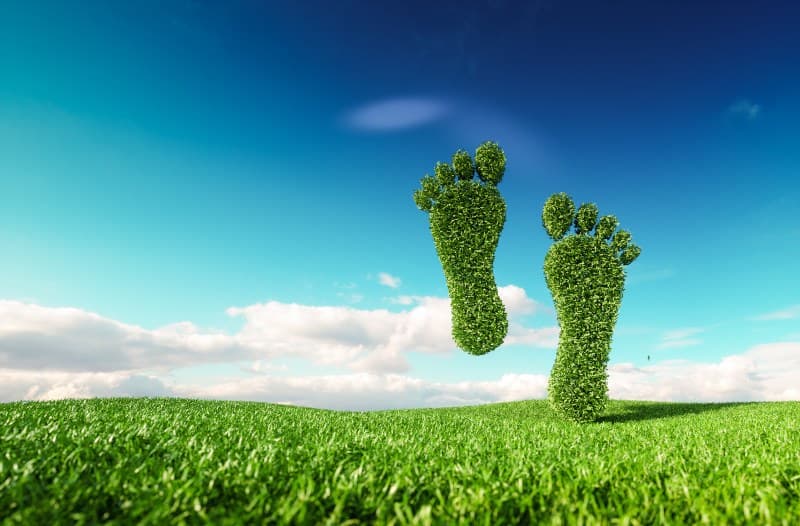 COP-26: CBA apresenta sucesso e vantagens de case de caldeira à biomassa