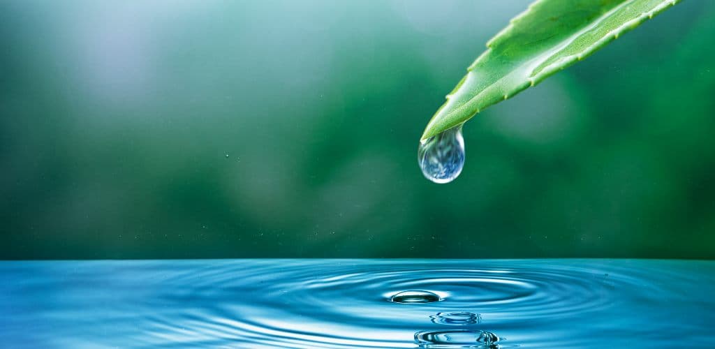 Indústria do alumínio investe em ações de conservação e preservação da água