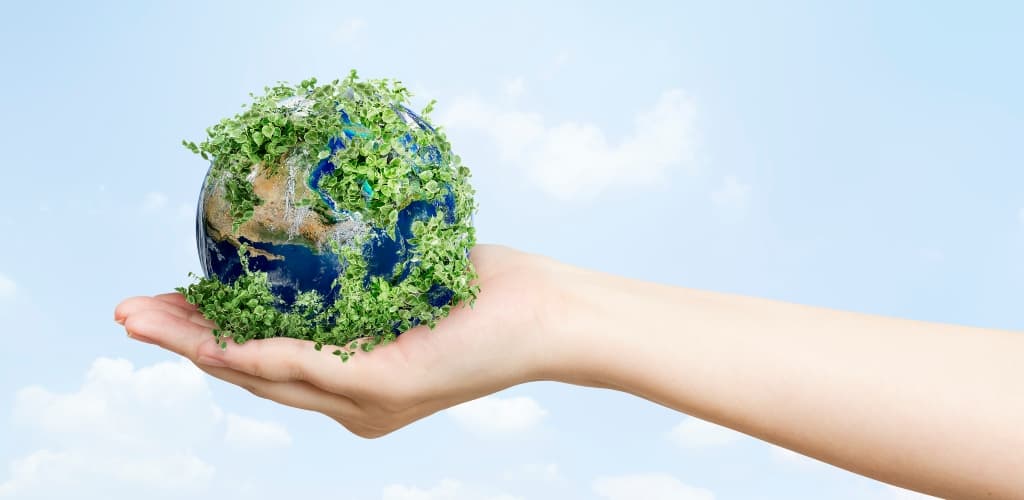 CBA vence Prêmio ECO Amcham com projeto de caldeira a biomassa