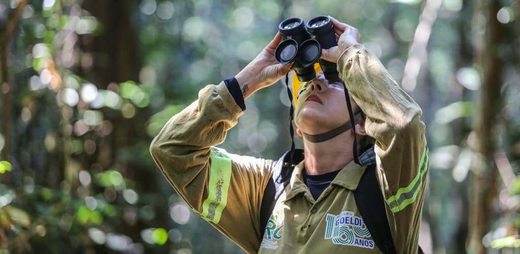 Hydro e Consórcio de Pesquisa BRC transformam a biodiversidade na Amazônia