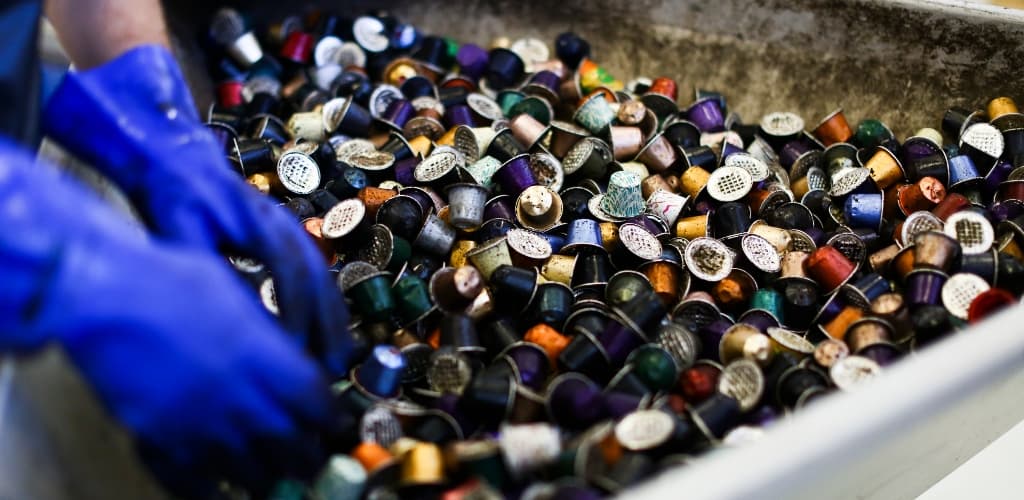 Parceria sustentável: Nespresso e WTNB na vanguarda da moda circular